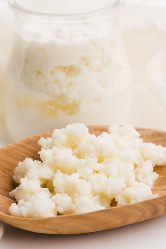 Kefir Solution